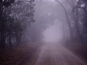 Tanunda_creek_road