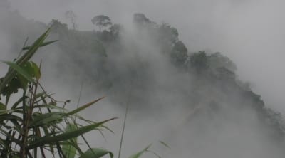 Fog_mountain