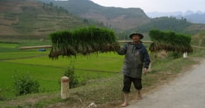 Rice_man_2