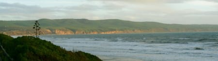 Aldinga_beach_2