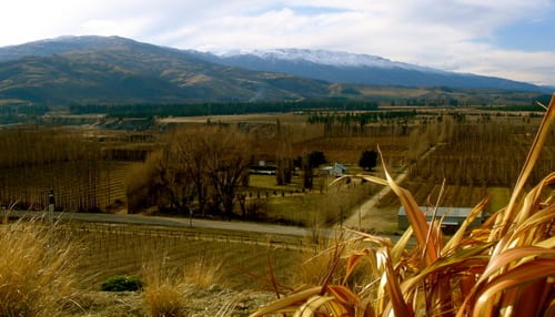 Central_otago_2