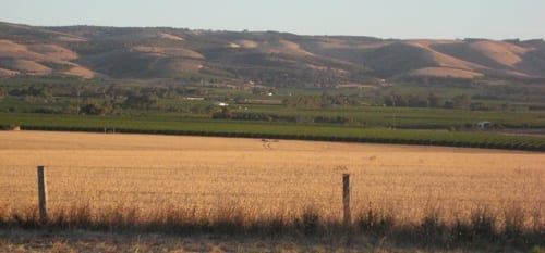 Willunga_hills