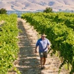 Brash patrols SHZ rows on "Omensetter Vineyard" in McLaren Vale, South Australia