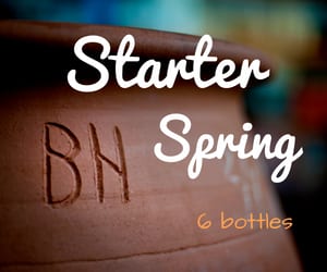 brash-starter-spring